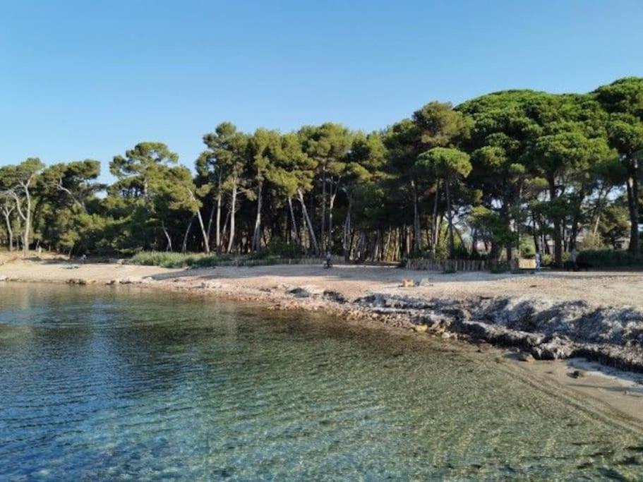 Charmant Studio Climatise 24 M2 Terrasse A 100M De La Plage Saint-Mandrier-sur-Mer Exterior foto